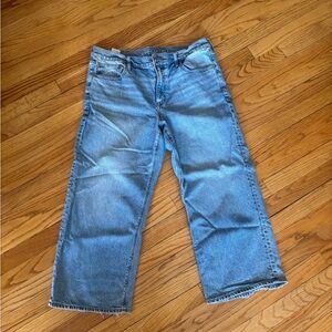 American Eagle Outfitters 14 Petite “STRIGID”  medium wash Relaxed Jeans